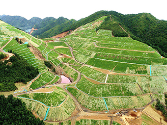 國內(nèi)首部礦山生態(tài)修復(fù)法規(guī)出臺!下月起實(shí)施!